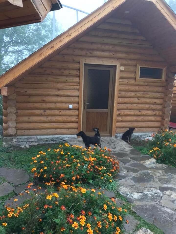 Harsnadzor Eco Resort Halidzor 外观 照片