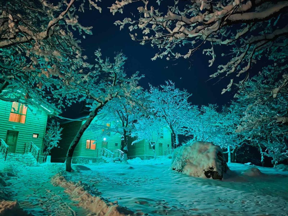 Harsnadzor Eco Resort Halidzor 外观 照片